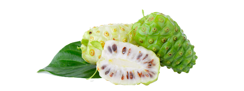 240612-WEBSITE-SOURSOP-47.png